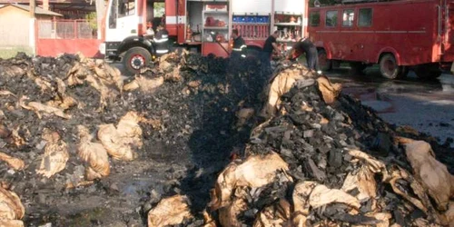 calarasi camion