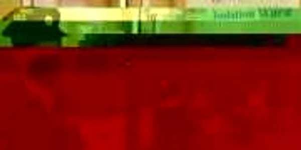 Un grup de deţinuţi se revoltă de teama răspândirii virusului de gripă porcină