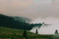 Bilbor 3
