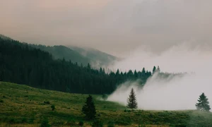 DSCF1107 jpg