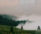 Bilbor 3