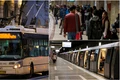 autobuz si metrou jpeg