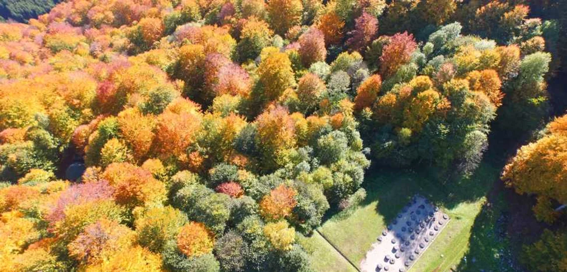 sarmizegetusa regia