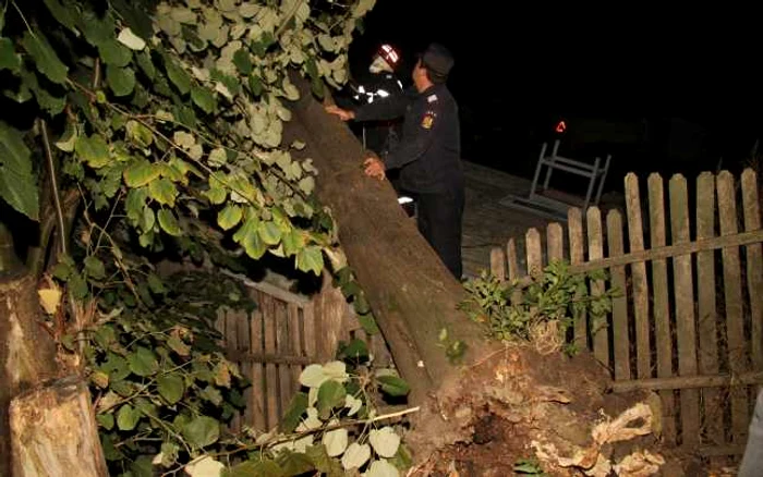 Pompierii au fost nevoiţi să taie copacul în bucăţi pentru a-l îndepărta de pe casă