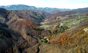 satul pietrisu alohotels jpg