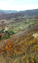 satul pietrisu alohotels jpg