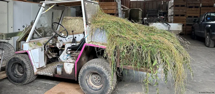 Tinerii germani nu se înghesuie să lucreze în agricultură