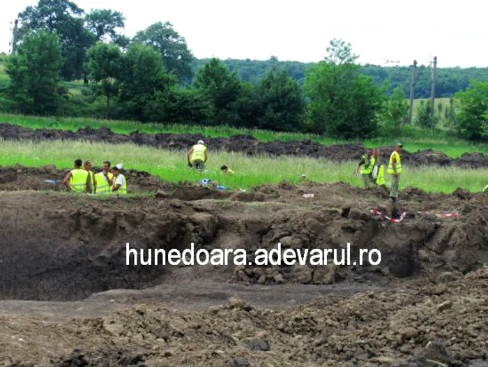 Deținuții lucrează la autostradă.