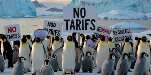 Insulele Heard și McDonald locuite de pinguini Foto @velonoir platforma X jpg