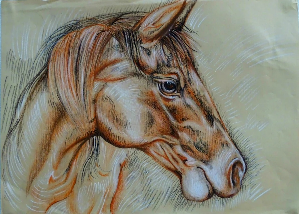 grafica grigorescu6