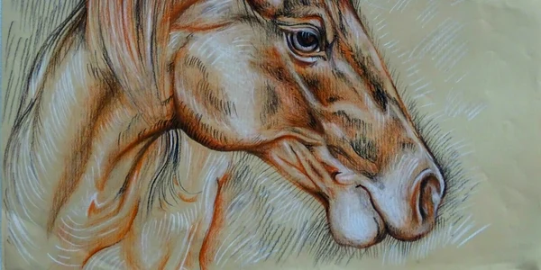 grafica grigorescu6