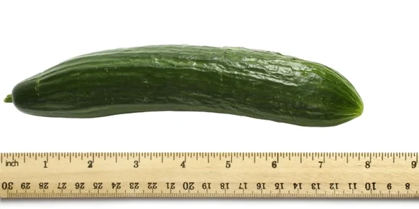penis