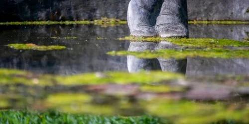 parcul dendrologic simeria foto ovidiu manoilescu