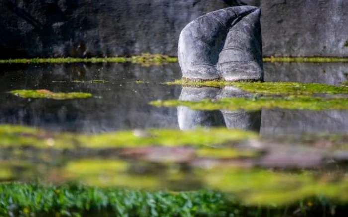 parcul dendrologic simeria foto ovidiu manoilescu