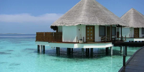 Maldive