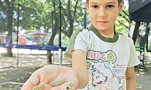 CLIIMA20120629 0114 1 jpeg