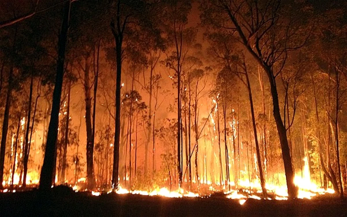 Incendii. FOTO: ARHIVĂ.