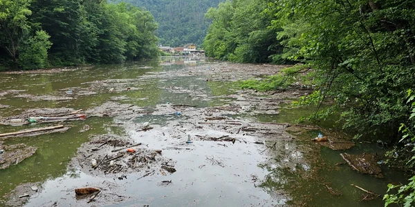 Valea Cernei și Cernișoarei, după inundatii  Foto Daniel Guță ADEVĂRUL (81) jpg