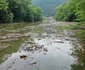 Valea Cernei și Cernișoarei, după inundatii  Foto Daniel Guță ADEVĂRUL (81) jpg