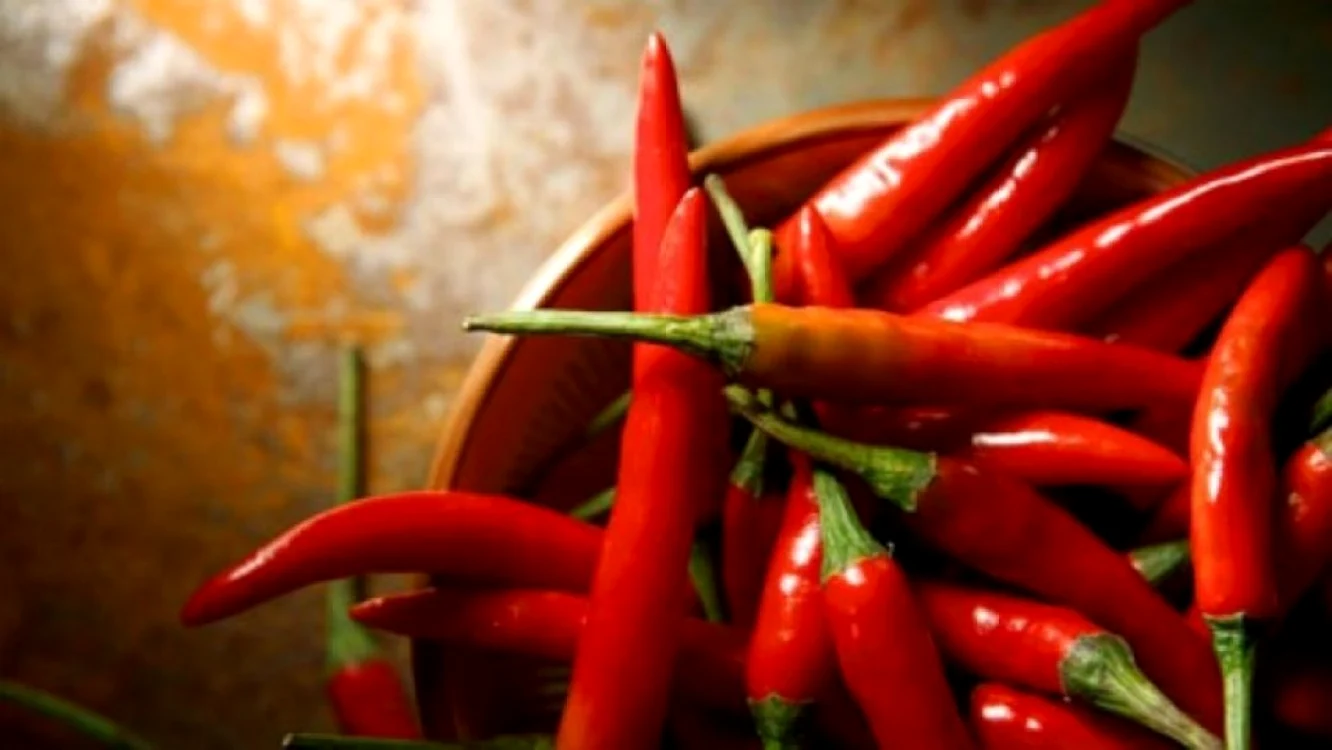 Ardeii iuţi sunt şi aliment-condiment, dar au şi utilizări în medicina naturistă tradiţională