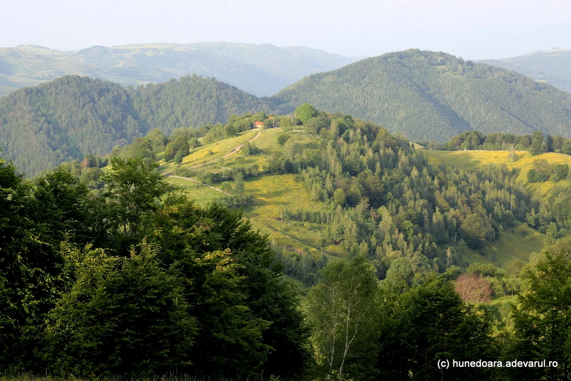 Munții Poiana Ruscă. zona Meriei. Foto: Daniel Guță