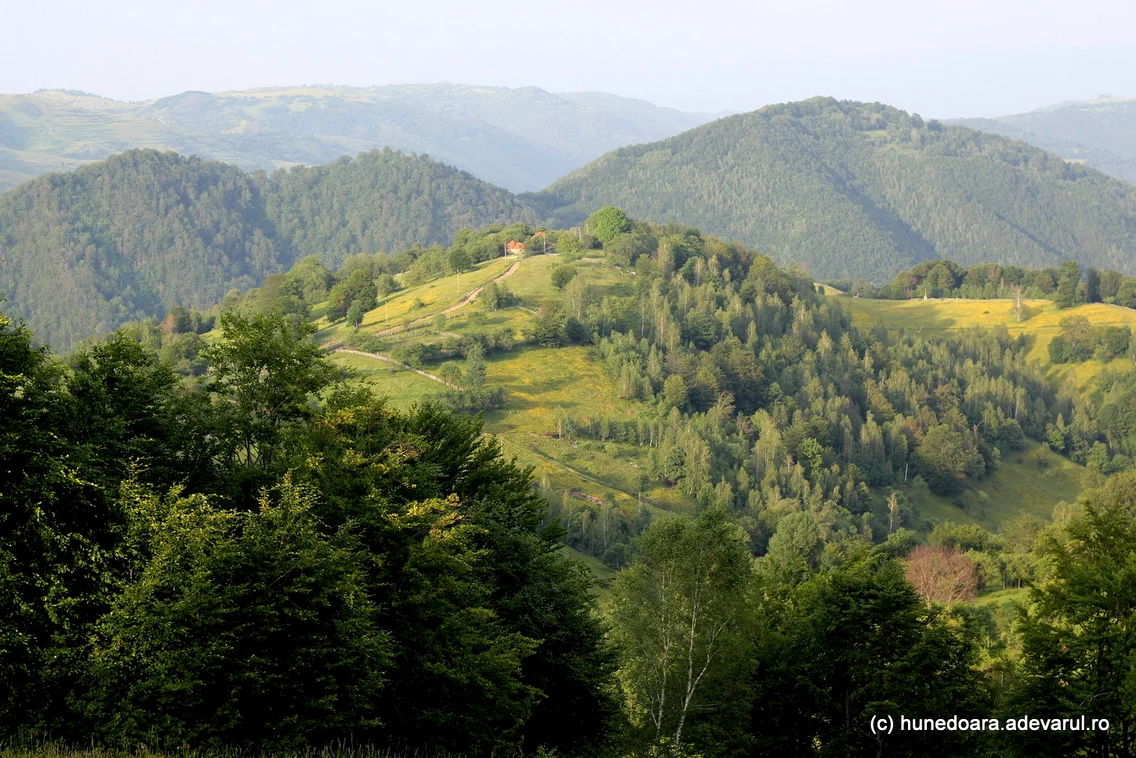 Meria  Foto Daniel Guță (10) JPG