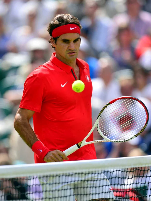 roger federer del potro