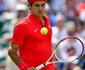 roger federer del potro