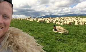 banner ghiță ciobanul png