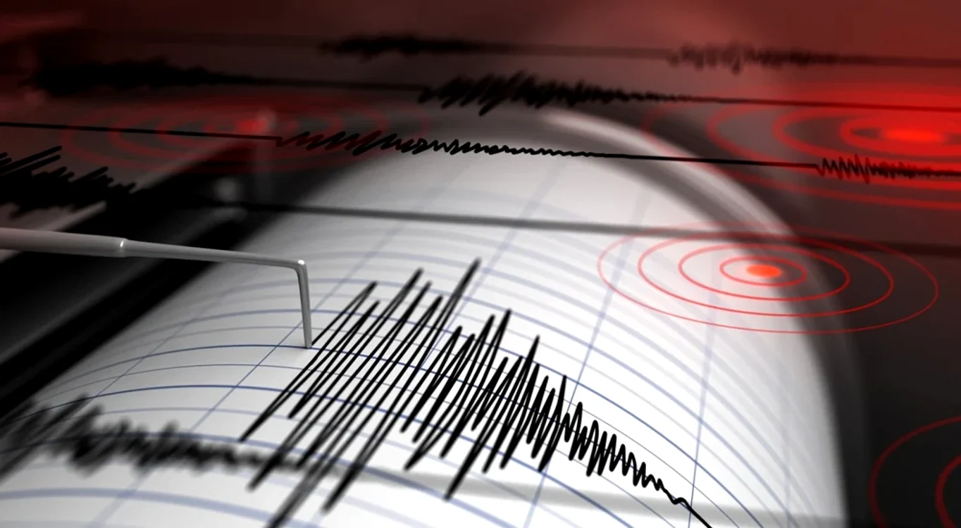 Cutremurele din Vrancea pot fi anunțate cu 25 de secunde înainte de unda seismică