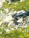 Mașină prăpastie Transfăgărășan FOTO Facebook 