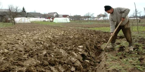 Doar 3000 de hectare de teren agricol au fost arate şi însămânţate
