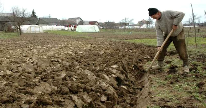 Doar 3000 de hectare de teren agricol au fost arate şi însămânţate