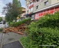furtuna in hunedoara  Foto Daniel Guță ADEVĂRUL (38) jpg