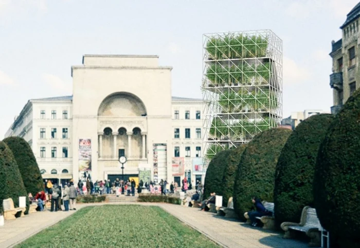 Piepieneră catalană FOTO Timisoara2023