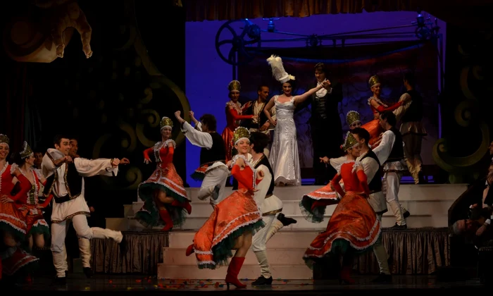 silvia opera din timisoara