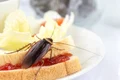 gandac de bucatarie shutterstock 1102601966 jpg