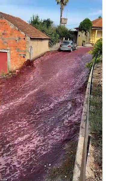 Străzi inundate cu vin roșu într-un orășel portughez. Motivul pentru care s-a întâmplat acest lucru VIDEO