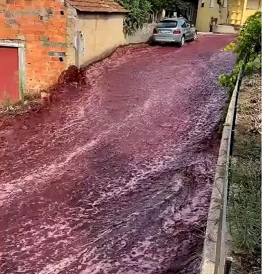 Au curs râuri de vin roșu pe străzi FOTO Daily Mail