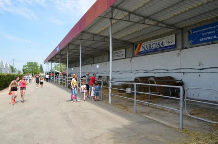 Ferma în cadrul USV FOTO usab-tm.ro
