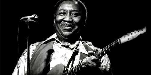 Muddy Waters