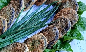 stevie pane youtube png