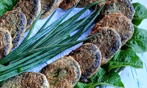 stevie pane youtube png