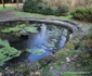 Parcul Dendrologic din Simeria Foto Daniel Guță ADEVĂRUL (7) JPG