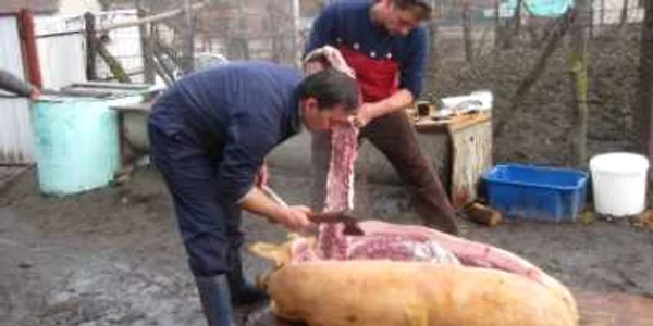 Mureşenii sunt sfătuiţi să verifice carnea porcilor tăiaţi în gospodăria proprie foto Arhivă