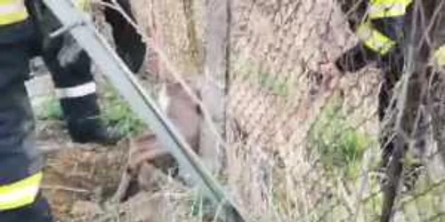 5e9020105163ec427193c1d3 jpg