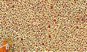 test jpg