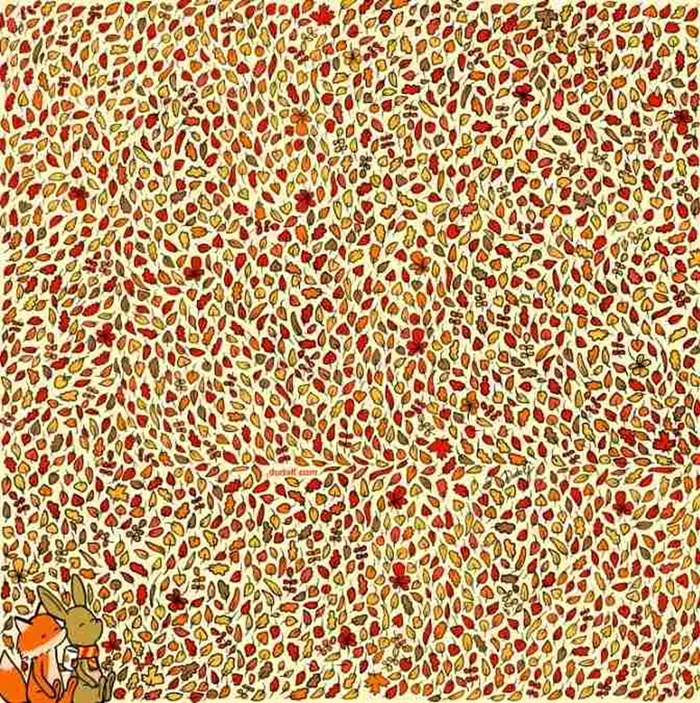 Unde se află cele patru mere ascunse în imagine / foto: Dudolf