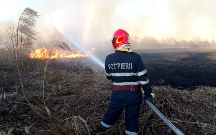 Incendiu Delta Vacaresti FOTO isu