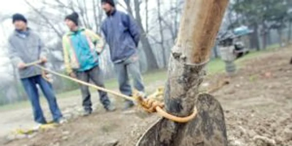 Românii sunt performanţi  în medii economice şi sociale normale